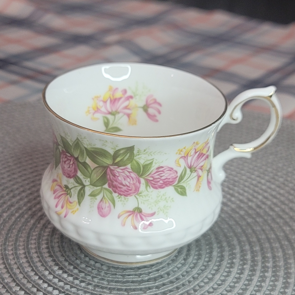 Vintage  ROSINA English Cup